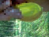 Amateurvideo Sklave ins Kondom pissen lassen  von sexy_sandra82
